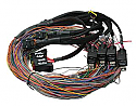 Haltech Platinum PS1000 Wiring Loom Only - Long 