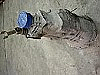 Nissan 300zx Z32 VG30DETT Gearbox